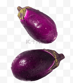 茄子图片_蔬菜茄子紫色茄子