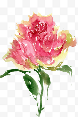水墨画玫瑰花图片_娇艳的玫瑰花