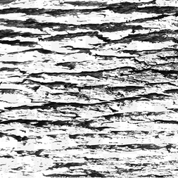 木材质纹理图片_树干树皮树纹裂纹