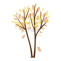 秋天的程式化树与落叶。