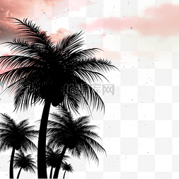 星空下的椰子树夏季夜晚边框