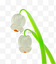 3d气球铃兰花