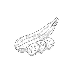 西葫芦蔬菜图片_西葫芦蔬菜草图分离南瓜骨髓矢量
