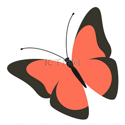 矢量抽象的蝴蝶图片_蝴蝶标志现代艺术色彩缤纷的时尚
