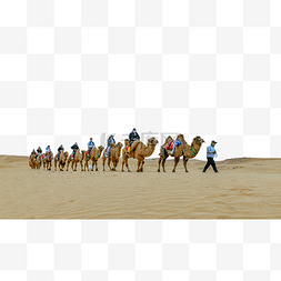 沙漠骆驼驼队人物夏季