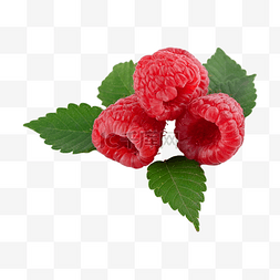 树莓自然健康完整