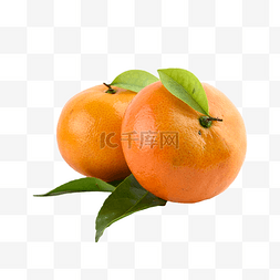 摄影剪贴画图片_橘子柑橘饮食颜色维生素