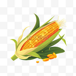 卡通农作物鲜玉米