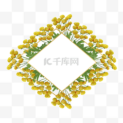 绿色相框背景图片_艾菊花卉水彩精美边框