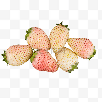 白雪公主白色草莓