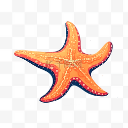 海星和小贝壳png图片_卡通海洋动物海星手绘