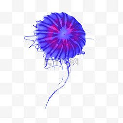 蓝色生物水母