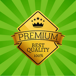 出售产品图片_质量最好的 100 个金色标签优质选