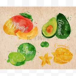 手绘水彩水果背景图片_奇异的水果水彩芒果、 牛油果、 