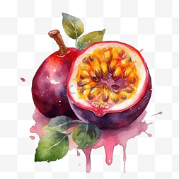 卡通手绘夏季水果百香果