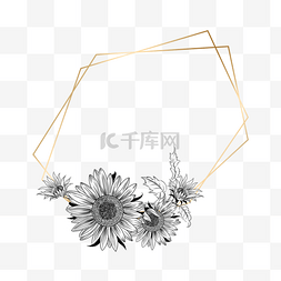 素描花卉边框图片_素描向日葵金线渐变线条边框