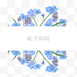 勿忘我插画图片_水彩勿忘我花卉婚礼边框