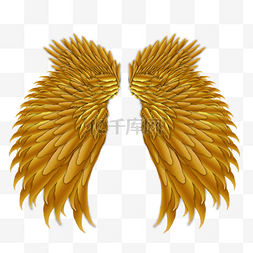 金色质感翅膀图片_下垂金属质感金色翅膀