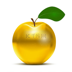 金苹果红苹果图片_金苹果