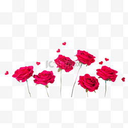 红色玫瑰花鲜花情人节