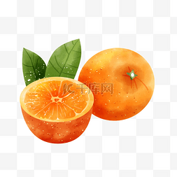 水彩风格水果橘子切开的果实和叶