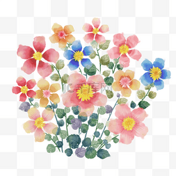 彩色水彩花卉植物