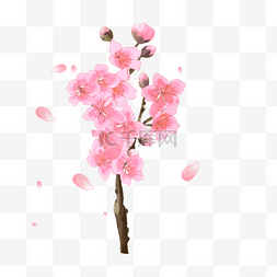 粉色桃花枝水彩花卉