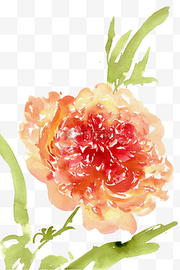 水墨画玫瑰图片_鲜艳的玫瑰