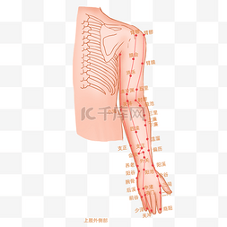 经络脉络图片_上肢外侧穴位图中医