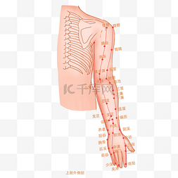 经络图片_上肢外侧穴位图中医