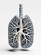 肺部人体器官元素