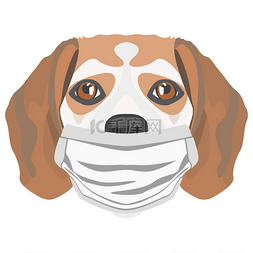 防疫内容图片_带呼吸器的小猎犬的图解。在这个