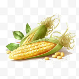 玉米扁平插画手绘免抠元素