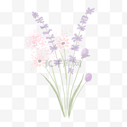 复古小植物图片_小雏菊花束水彩婚礼紫色粉红色