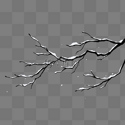 长在树枝上的鸟图片_冬季大雪小雪挂雪树枝