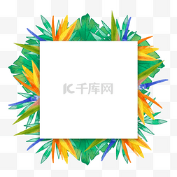 边框海报正方形图片_水彩热带树叶鹤望兰花卉正方形边
