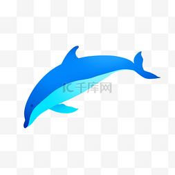 扁平世界动物图片_蓝色渐变海豚
