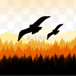 雄鹰翱翔图片_落日下的森林景观