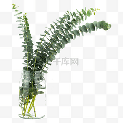 尤加利花瓶绿植装饰