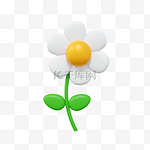 3DC4D立体植物花朵
