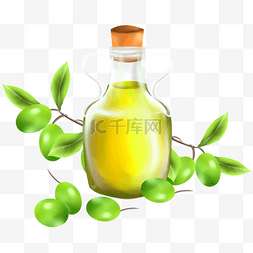 绿色叶子手绘水彩图片_橄榄油橄榄树叶食物