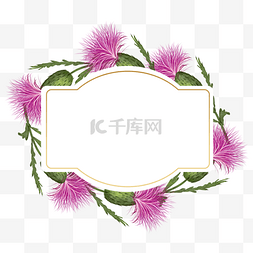 蓟花卉粉色水彩边框