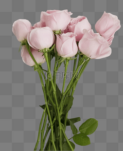 粉色的花束图片_鲜花花束粉色的玫瑰