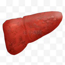 肝癌gif图片_肝脏肝硬化人体内脏器官医疗