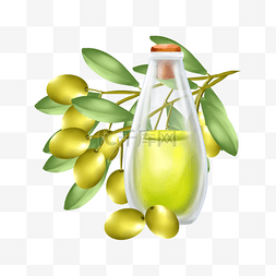 白色绿色树叶图片_橄榄油橄榄树叶液体油