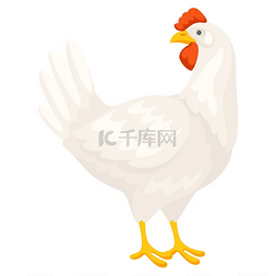 动物的蛋图片_白鸡的例证。