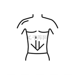身体器官图标图片_健康的肠道箭头指向人体下方孤立