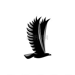 飞行中的鸟图片_长着宽大翅膀的飞鹰是纹章的象征