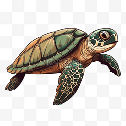 扁平插画手绘免抠元素海龟