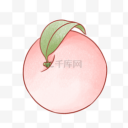 桃子树叶图片_水彩水果桃子